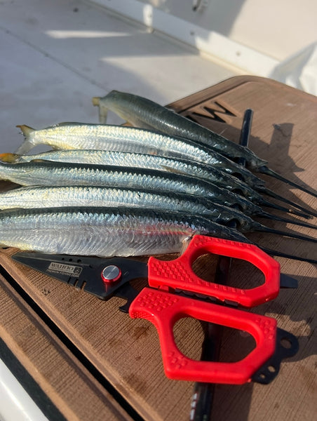 Wahoo Braided Line Scissors